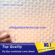 China Material lenticular LENTICULAR PLÁSTICO del ojo 3d de la mosca para la lente lenticular llevada de las películas ligeras del difusor del globo del ojo proveedor