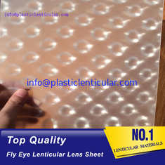 China Material plástico de la película de la lente de ojo de la mosca de la hoja del mosca-ojo claro LENTICULAR PLÁSTICO con el efecto 360 3d proveedor