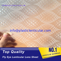 China Reja lenticular esférica plástica del material de hoja del mosca-ojo LENTICULAR PLÁSTICO 3d proveedor
