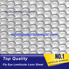 China 3d LENTICULARES PLÁSTICOS pp vuelan la hoja lenticular de la lente del punto de la película del ojo materical para embalar proveedor