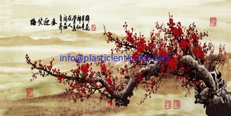 China Impresión lenticular plástica de encargo LENTICULAR PLÁSTICA de las hojas de la lente del animal doméstico 3d de la imagen 3d proveedor