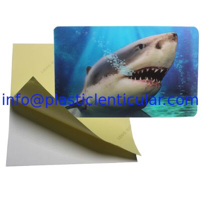 Impresión lenticular de la etiqueta engomada del precio 3d de la etiqueta engomada de los pp del animal doméstico del efecto lenticular barato LENTICULAR PLÁSTICO del tirón con el pegamento proveedor