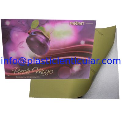 Fábrica de impresión lenticular modificada para requisitos particulares LENTICULAR PLÁSTICA sticker-3d de la etiqueta engomada del ANIMAL DOMÉSTICO 3D de la etiqueta engomada lenticular del movimiento del tirón 3d proveedor