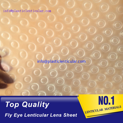 El doble LENTICULAR PLÁSTICO echó a un lado los puntos 360 hojas plásticas de la película lenticular del ojo de la mosca del efecto 3d proveedor