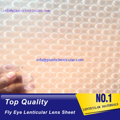 El doble LENTICULAR PLÁSTICO echó a un lado los puntos 360 hojas plásticas de la película lenticular del ojo de la mosca del efecto 3d proveedor