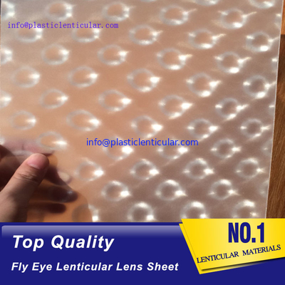 El doble LENTICULAR PLÁSTICO echó a un lado los puntos 360 hojas plásticas de la película lenticular del ojo de la mosca del efecto 3d proveedor