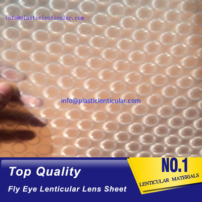 El doble LENTICULAR PLÁSTICO echó a un lado los puntos 360 hojas plásticas de la película lenticular del ojo de la mosca del efecto 3d proveedor