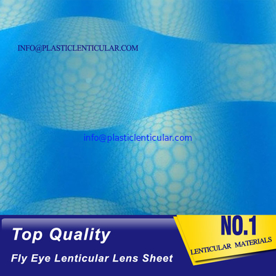 De alta calidad LENTICULAR EL PLÁSTICO echó a un lado los puntos que 360 3d vuelan la hoja lenticular del punto de la hoja de la lente de ojo proveedor