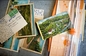 3d postales lenticulares de encargo LENTICULARES PLÁSTICAS del tirón de la impresión de la postal de las postales 3D proveedor