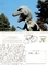 Postales animales baratas LENTICULARES PLÁSTICAS de las postales 3D del precio 3D con el material de hoja lenticular proveedor