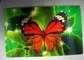 Tarjetas de Navidad lenticulares lenticulares LENTICULARES PLÁSTICAS del tirón 3D de las tarjetas de Navidad 3d proveedor