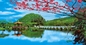 Impresiones lenticulares de la hoja de las nubes 3d de paisaje de las pinturas de la imagen lenticular al por mayor lenticular LENTICULAR PLÁSTICA del animal doméstico 3d proveedor
